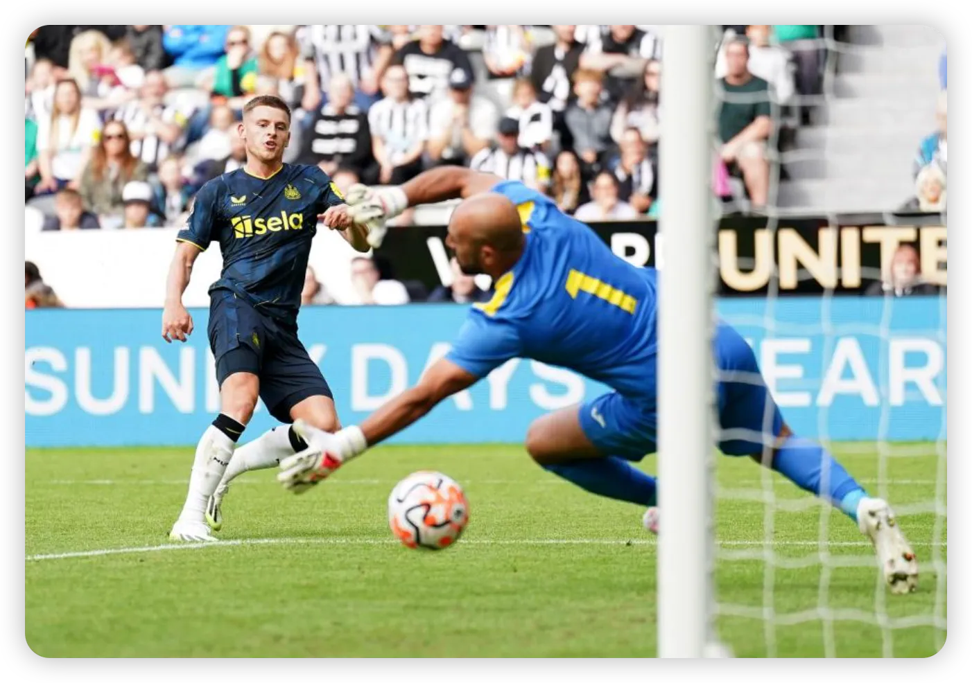 The Battle for Elliot Anderson's International Future