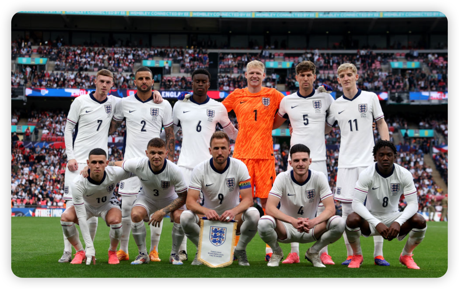 Commercial Impact and Fan Reception