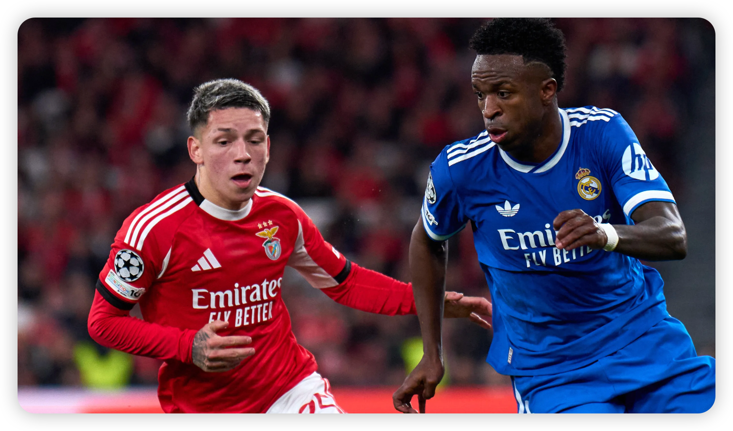 The Source of the Speculation