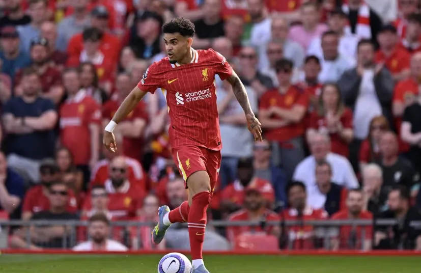 Expert Opinions: A Divided Verdict?